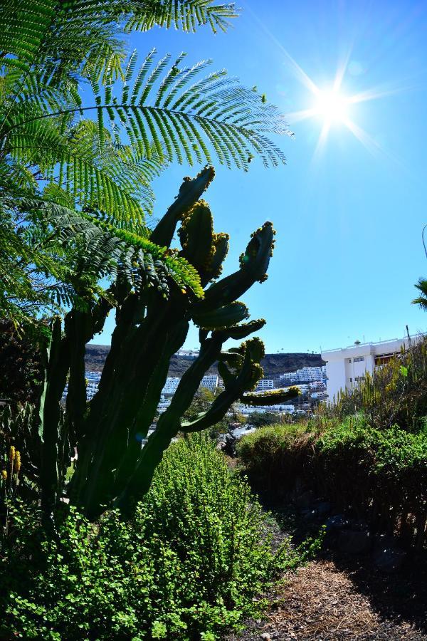 Apartamentos Puerto Bello Puerto Rico  Dış mekan fotoğraf